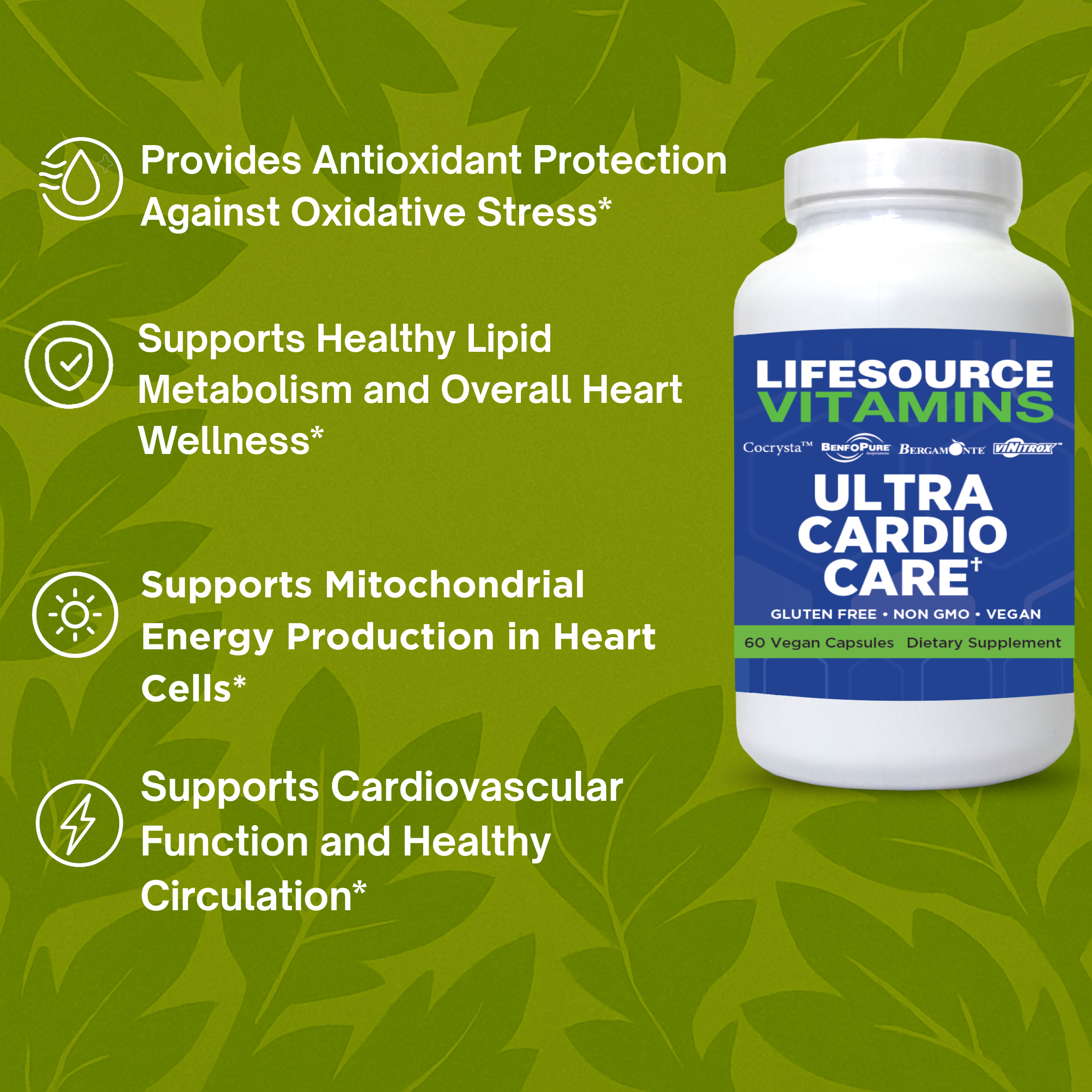 Ultra Cardio Care for Heart Health, Cholesterol & Blood Flow Support ...